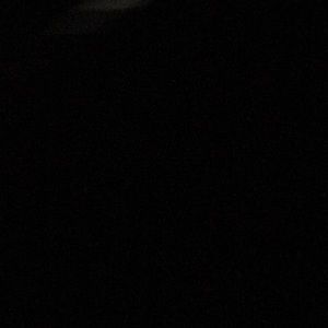 Meet your Posher, Damien